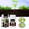 Rare Plant Rooting Powder Plant Fruit Flower Rapid Rooting Nutrition Hydroponics Garden Nutrition