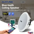 Waterproof Built In Digital Class D Amplifier Bluetooth-compatible Ceiling Speaker 10W 6inch Active