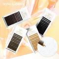 SONG LASHES High Quality Straight Curvate Eyebrow Extensions False Eyebrow 12 lines Brown Color