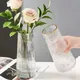 New Creative Nordic Glass Flower Vase Ins Flower Bottle Transparent Hydroponic Vase Glass Bottle for