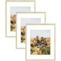 Art 16x20 Picture - 11x14 Photos with or 16x20 Pictures Without - Real Glass Display for Poster Picture Portraits Artwork - Set of 3 Beige