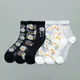 Card Silk Women's Socks Spring And Summer New Nylon Ultra-Thin Tube Fashion cute Daisy Anti-Hook