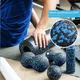 5 in 1 Massage Foam Rollers & Balls Fascia Set EPP High Density Fitness Ball Yoga Column Deep Muscle