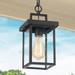 LaLuz Modern 1-Light Black Outdoor Light Patio Exterior Hanging Lantern Pendant Lights - L 6 x W 6 x H 10.5