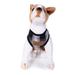 Charcoal Ombre Dog Harness, Small, Gray