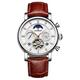 DEHIWI Automatic Watches for Men Mechanical Brown Leather Strap Dress Moon Phase Tourbillion Day Date Waterproof Luminous Wrist Watch,Silver Brown