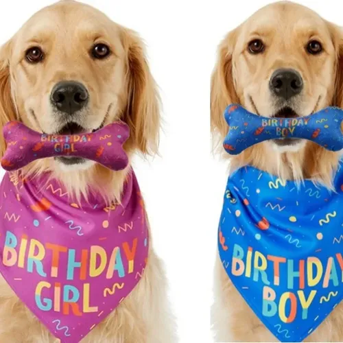 Neue Pet Dreieck Schal Knochen Geburtstag Anzug Hund Geburtstag Spielzeug Knochen Speichel Handtuch