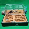 Beton Ant Farm Haus Super Große Gelbe Schlamm Ant Nest Gips Pet Anthill Insekt Burg M Werkstatt Ant Haus mit jagd Bereich