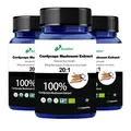 Best High-Quality 100% Pure Cordyceps Mushroom Extract Powder Cordyceps Sinensis CS-4 Dong Chong Xia