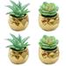 4pcs gold-plated mini simulation succulents bonsai flowers interior decoration ornaments artificial potted plants - type:style4;