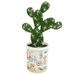 Plastic bonsai simulation plant tropical cactus bonsai artificial flower plant - type:style1;