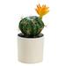 Plastic pots artificial tropical cactus bonsai creative small ornaments artificial flowers and green plants - type:style4;