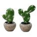 2pcs small simulation plant potted cactus bonsai creative decoration green plants - type:style3;