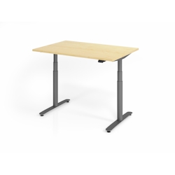 PROREGAL Sitz-Steh-Schreibtisch Rauno | Ahorn | Graues GestellBxT 120x80cm | Höhe 63-127cm | elektrisch stufenlos höhenverstellbar | T-Fuß Gestell Image