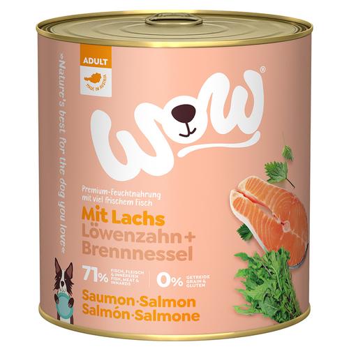 6x 800g WOW Adult Lachs Hundefutter nass