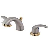 Elements of Design Daytona Widespread Bathroom Faucet w/ Drain Assembly, Stainless Steel in Gray | 3.5 H in | Wayfair EB6959LL