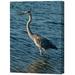 Menaul Fine Art Heron Limited Edition by Scott J. Menaul Photographic Print on Wrapped Canvas 38.0 H x 30.0 W in brownCanvas | 38 x 30 | Wayfair