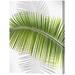 Menaul Fine Art Palm Frond Limited Edition by Scott J. Menaul Graphic Art on Wrapped Canvas in Green 38.0 H x 30.0 W in brownCanvas | Wayfair