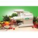 Tribest Greenstar® Slow Masticating & Cold Press Juicer Glass/Plastic in White | 19 H x 6.5 W x 13.3 D in | Wayfair GS-1000