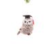 The Holiday Aisle® Grey Cloth Sitting Wise Owl w/ Graduate Cap, Glass | 5 H x 4.5 W x 3 D in | Wayfair 3BBA4DA7BD9E454E92C7DC33FCA88174