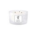 The Country Candle Co. Pastels Range Triple Wick Candle - Vetiver & Musk