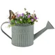 Vati eau de fleurs en métal vintage pot de fleurs pour plantes succulentes vase de fleurs en fer à