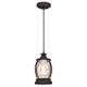 63617 Canyon One-Light Indoor Pendant, Oil Rubbed Bronze Finish with Barnwood Accents and Clear Seeded Glass