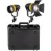 Genaray Torpedo Bi-Color LED 2-Light Kit with Case BLT-60B