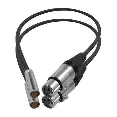 Kondor Blue Mini-XLR Male to XLR Female Audio Cable for Canon C70 & BMPCC 6K/4K (Black, KB-MXLRM-F16-BK
