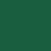 Savage #18 Evergreen Seamless Background Paper (26" x 36') 18-2612