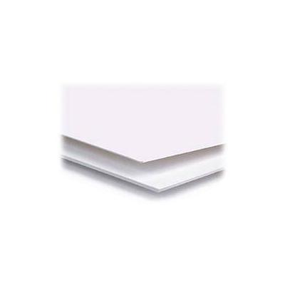 Archival Methods 4-Ply Pearl White Conservation Mat Board (8 x 10