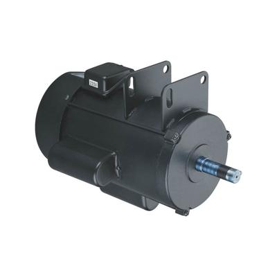 Grizzly Industrial Motor 3 HP Single-Phase 3450 RPM 220V For G1023Z H5387
