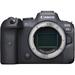 Canon EOS R6 Mirrorless Camera 4082C002