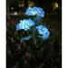 RKZDSR Solar Lantern LED Decorative Outdoor Lamp Flower Lantern Solar Light Blue