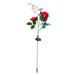 RKZDSR Led Solar Rose Light Simulation Flower Solar Rose Transparent Combination Light New Light Red