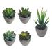 HAOAN 5 Artificial Cactus Plants Artificial Cactus Plants Gray Flower Pots For Home Decoration