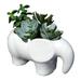 Mainstays 5.2 Artificial Succulent in White Ceramic Elephant Planter (5.2 H x 6.5 L x 3.5 W)