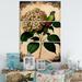 Design Art Victorian Retro Hydrangena II - Floral Canvas Wall Art Set Metal in Green/White | 32 H x 48 W x 1 D in | Wayfair PT81027-3PVXL