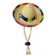 Chapeau Sombrero en paille pour animaux De compagnie Mini chapeau De paille mexicain conçu avec des