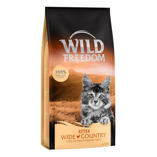 Wild Freedom Kitten 