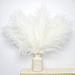 Primrue 17" Pampas Grass Plant | 17 H x 15 W x 15 D in | Wayfair BF11692FED58414F9C097F5CB3E0793E