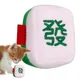 Jouets de dentition en peluche pour chats style Mahjong jouets d'herbe à chat pour chats jouets à