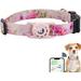 AirTag Dog Collar Compatible with Apple AirTag 2021 Polyester Pet Cat Puppy Collar with Silicone AirTag Holder for Small Medium Large and Extra Large Dogs Red L: 14.9-24.8 inch Neck