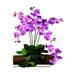 Nearly Natural Mauve Phalaenopsis Stem - Set of 12