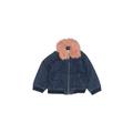 Gymboree Denim Jacket: Blue Jackets & Outerwear - Kids Girl's Size 18