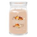 Yankee Candle Pumpkin Maple Creme Caramel Large Jar, Brown