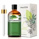 Phatoil-Huile essentielle pure de menthe verte pour diffuseur humidificateur soins relaxants de la