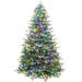 Fraser Hill Farm 9-Ft. Oregon Pine Christmas Tree with Multi-Color LED String Lighting