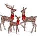 The Holiday Aisle® 3 Piece Harrouda Deer Family Lighted Display Set | 60 H x 34 W x 15 D in | Wayfair 067B4280A3FC48B0967DA9B67921A1D5