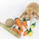 Cute Hamster Rabbit Chew Toy Bite Grind Teeth Toys Corn Carrot Woven Balls for Tooth Cleaning Radish